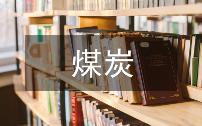 煤炭企業稅務風險研究