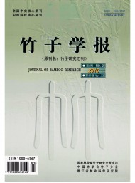 竹子研究匯刊