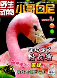 小哥白尼·野生動物畫報